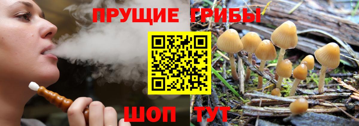 Псилоцибиновые грибы MAGIC MUSHROOMS  Вход с VPN  где продают   Горно-Алтайск 